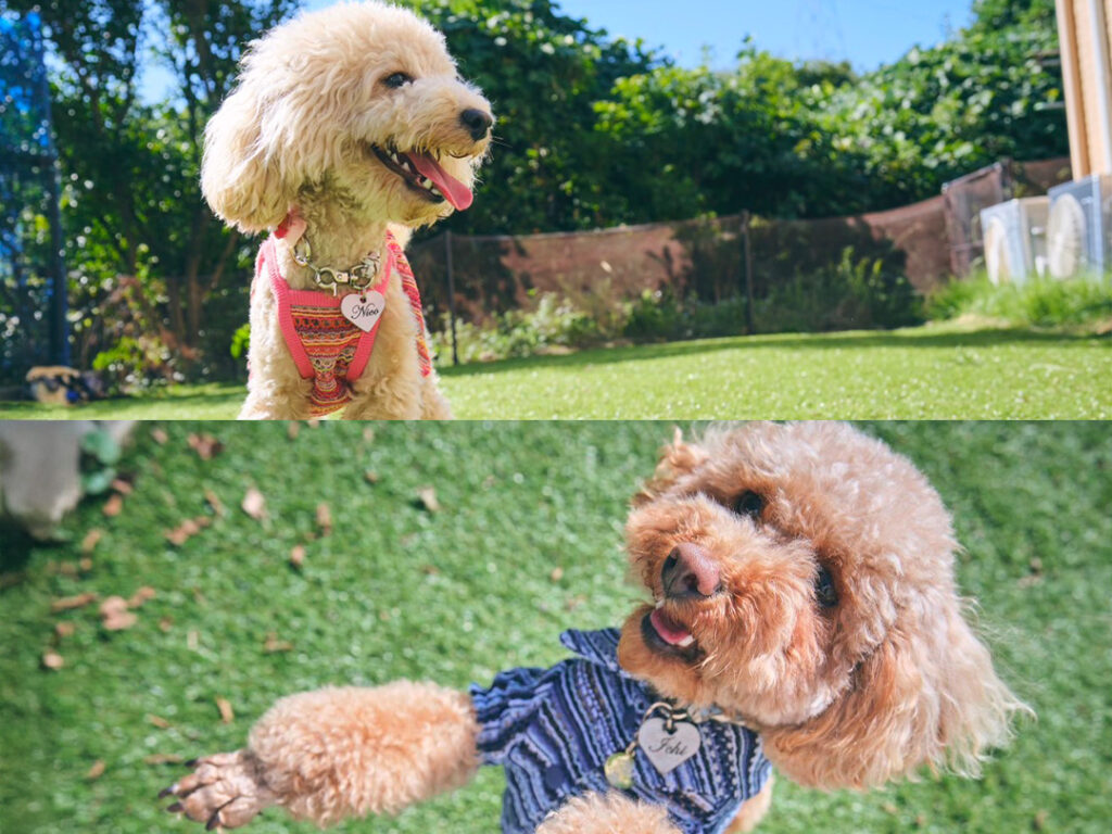 趣味を教えてください